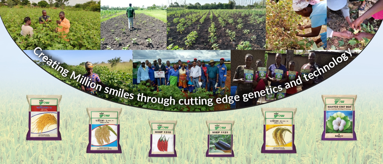 Mahyco International Pte. Ltd (mipl)